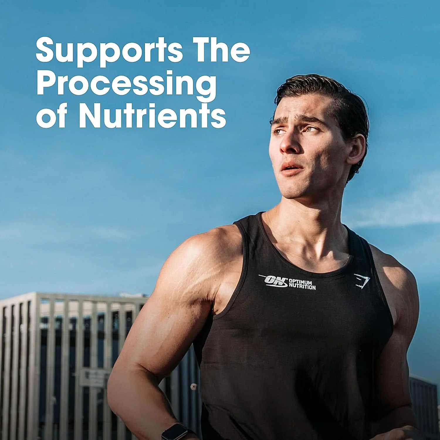 Multivitamin for MEN- 60 Tablets + Zinc Magnesium Aspartate (ZMA) - 60 Capsules + Fish Oil - 60 Capsules - Image 7